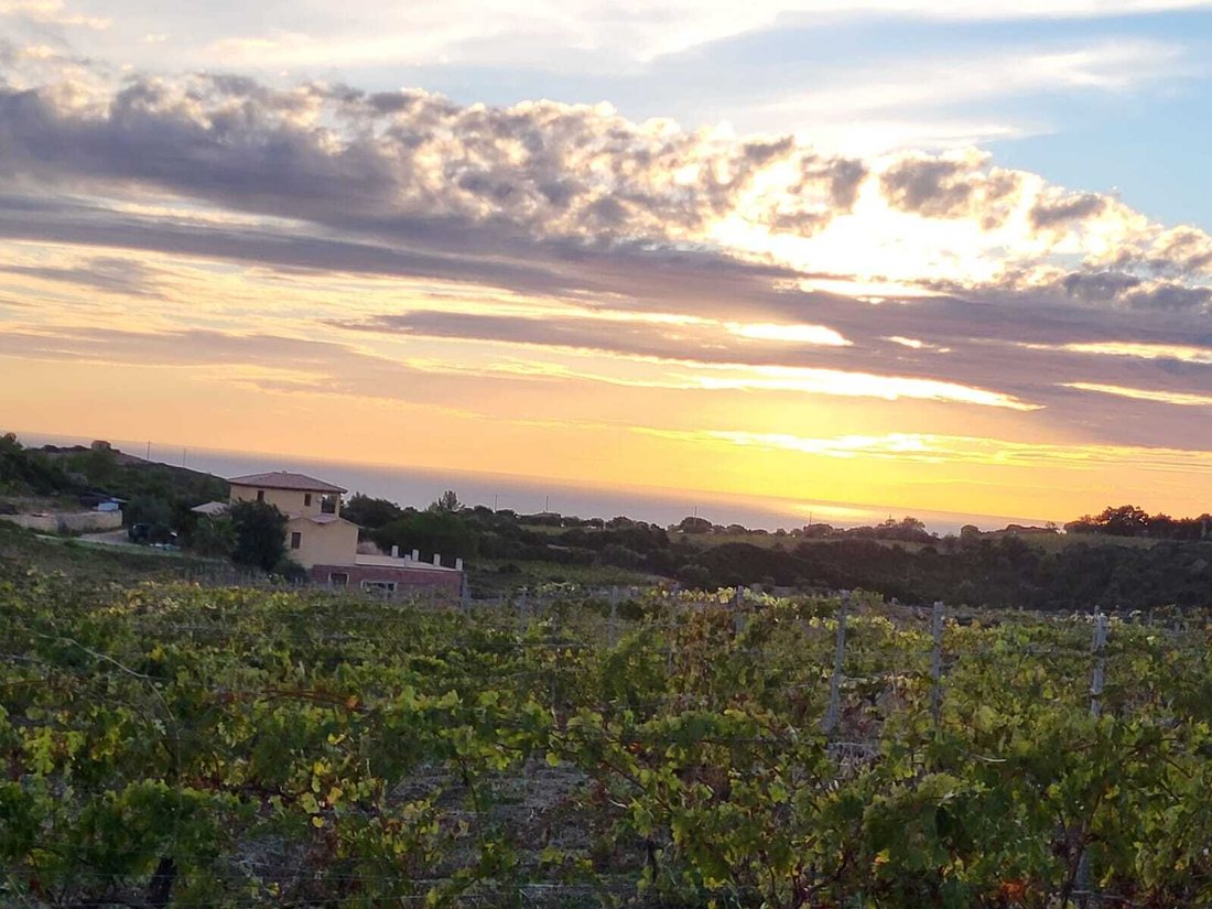 Farm Ranch in Tresnuraghes, Sardinia, Italy 5 - 16935001