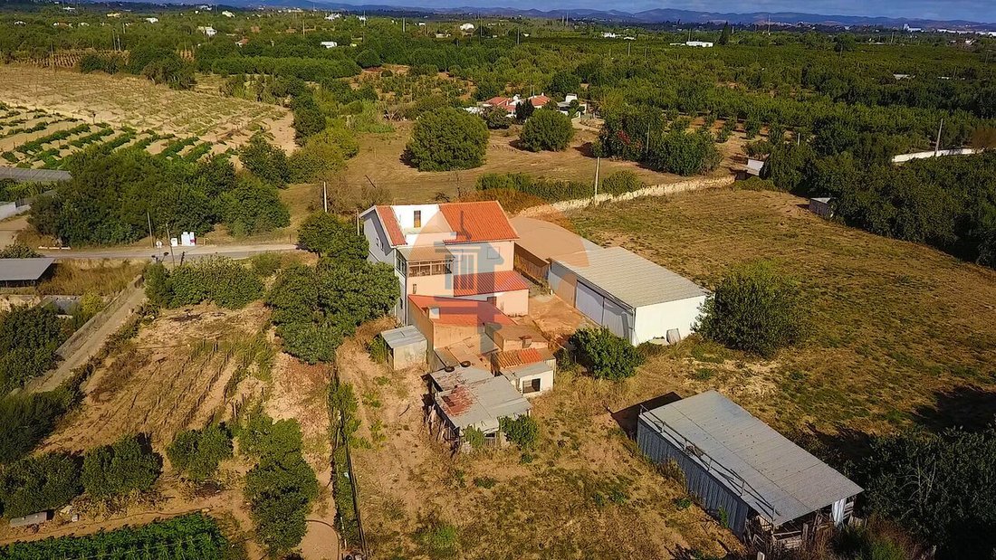 Farm Ranch in Tavira (Santa Maria e Santiago), Algarve, Portugal 1 - 16929805