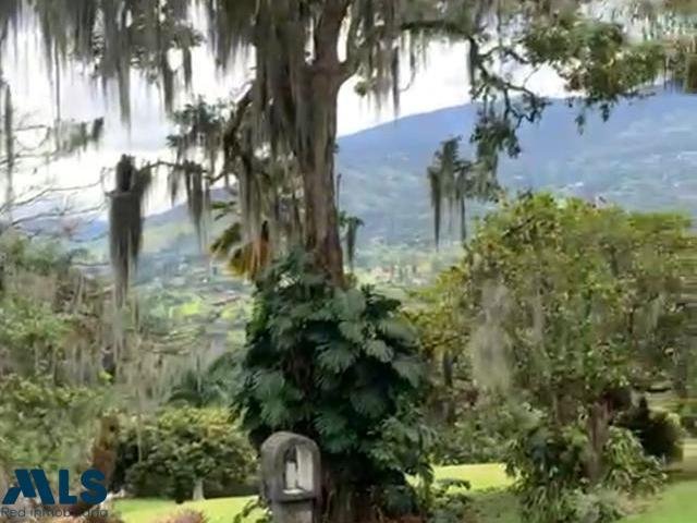 Finca in Vereda Curazao, Antioquia, Colombia 3 - 16929344