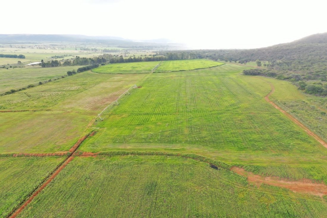 Farm Ranch in Modimolle, Limpopo, South Africa 4 - 16899509