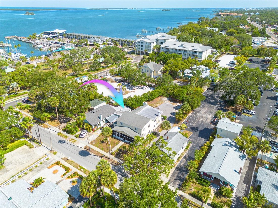 Dunedin, Florida, United States 2 - 16934147