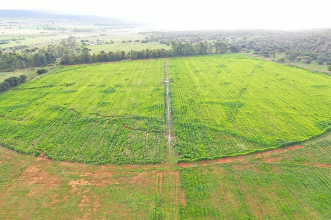 Farm Ranch in Modimolle, Limpopo, South Africa 1 - 16899509