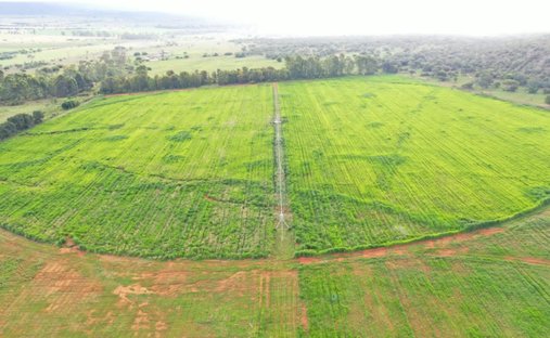 Farm Ranch in Modimolle, Limpopo, South Africa 1