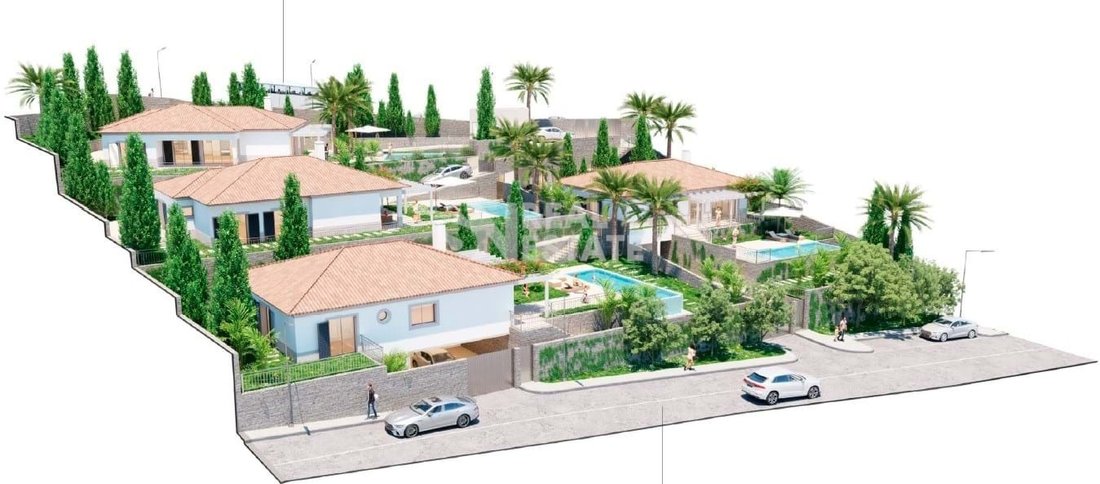 Villa in Reed, Madeira, Portugal 5 - 16932400