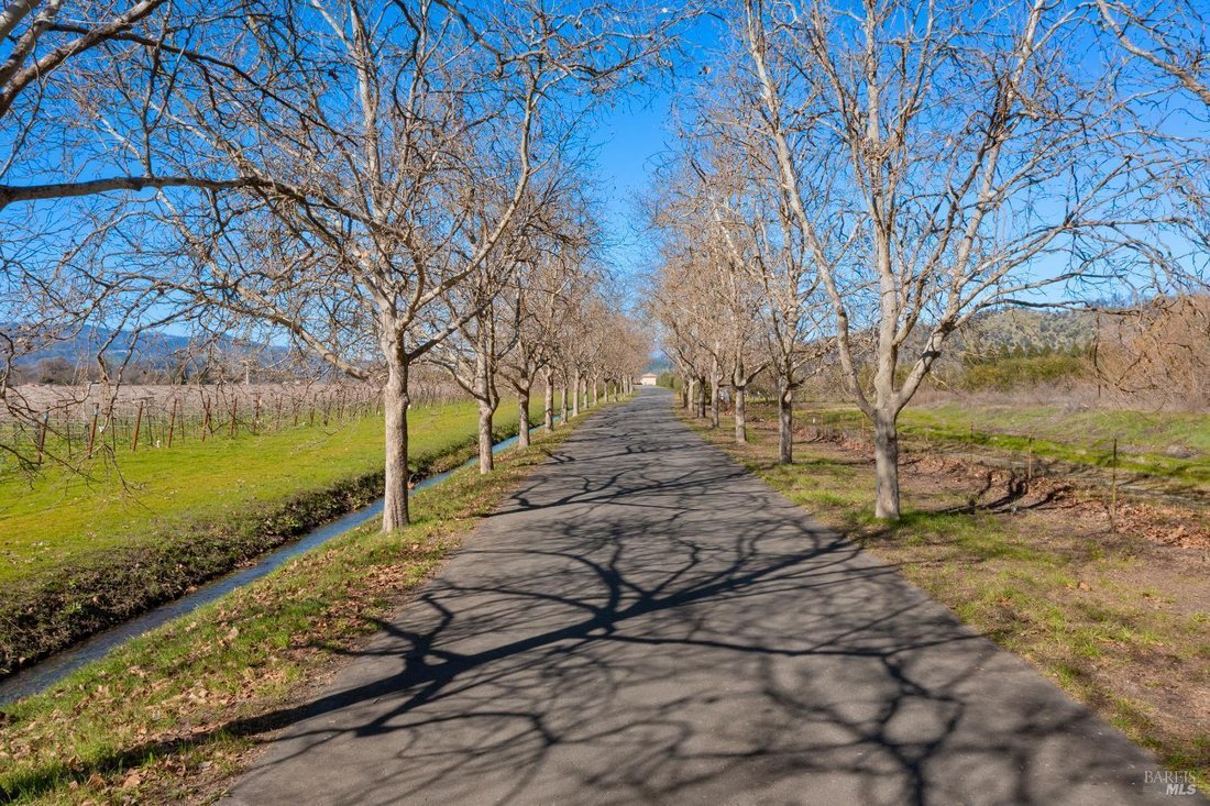 Terreno a St. Helena, California, Stati Uniti 2 - 16930464