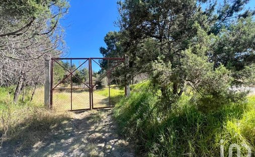 Land in Atlihuetzia, Tlaxcala, Mexiko 1