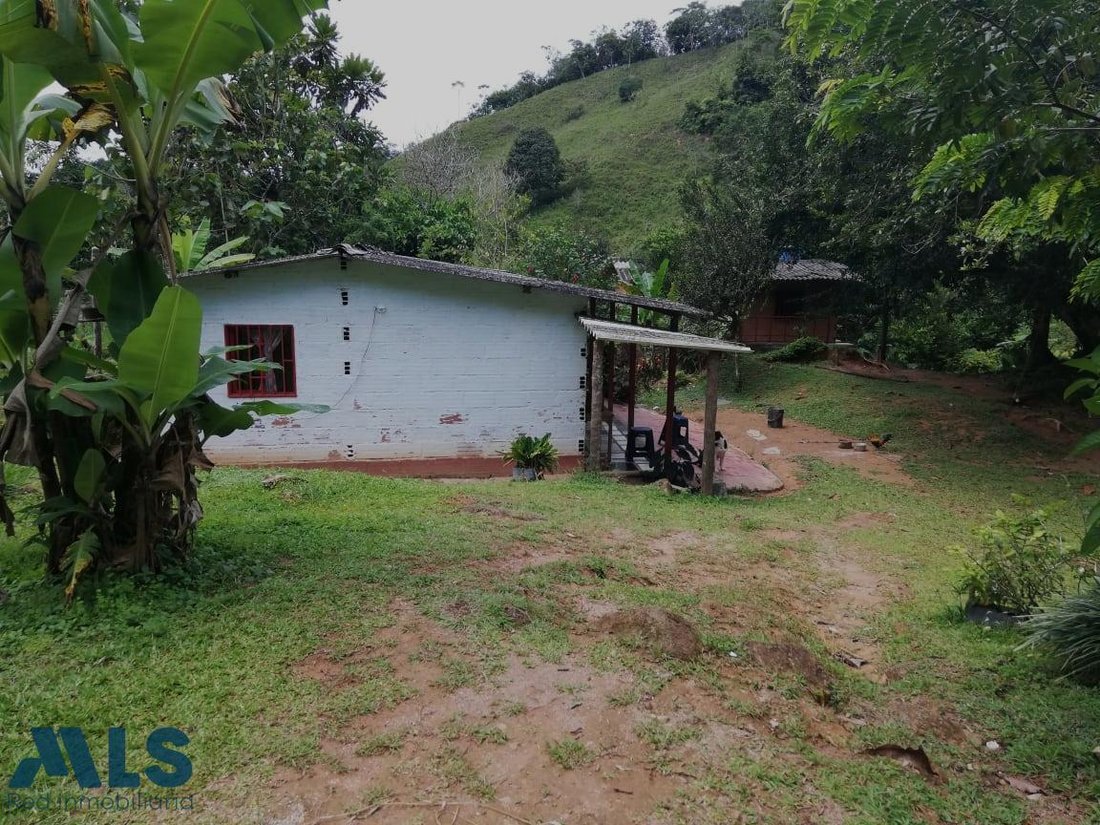 Land in Cocorná, Antioquia, Colombia 4 - 16929277
