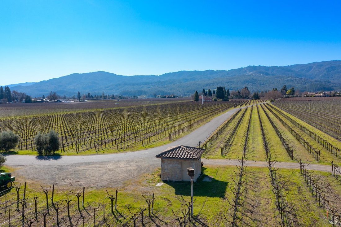 Terreno a St. Helena, California, Stati Uniti 5 - 16930464