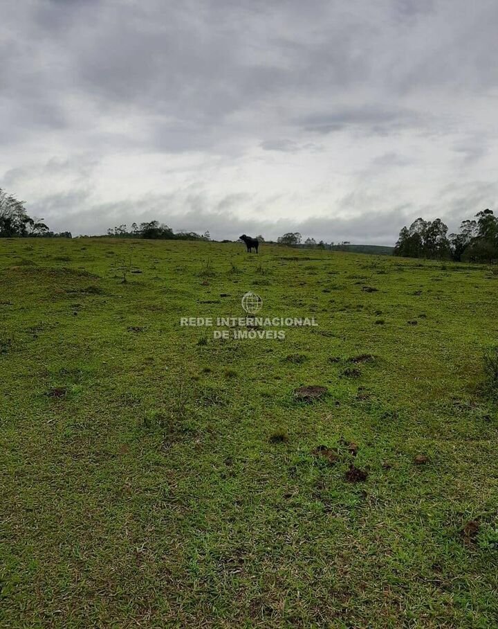 Farm Ranch in Rio de Janeiro, State of Rio de Janeiro, Brazil 3 - 16178265