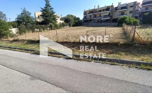Land in Pefka, Macedonia and Thrace, Greece 1