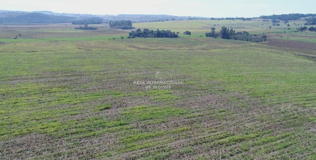 Farm Ranch in Rio de Janeiro, State of Rio de Janeiro, Brazil 4 - 16178347