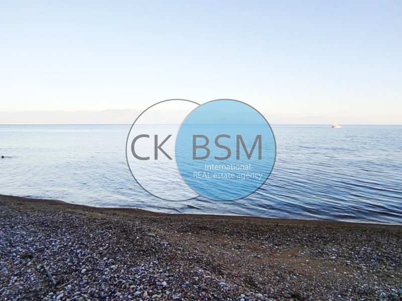 Land in Messenia, Peloponnese, Western Greece and the Ionian, Greece 5 - 16928820