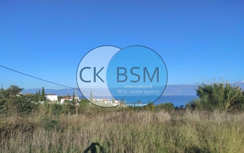 Land in Messenia, Peloponnese, Western Greece and the Ionian, Greece 4 - 16928820