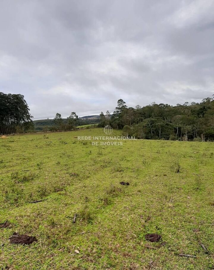 Farm Ranch in Rio de Janeiro, State of Rio de Janeiro, Brazil 2 - 16178265