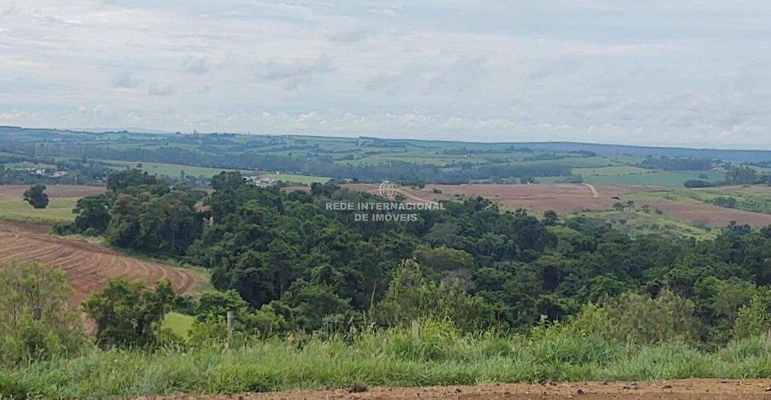 Farm Ranch in Porto Feliz, State of São Paulo, Brazil 1 - 16179917