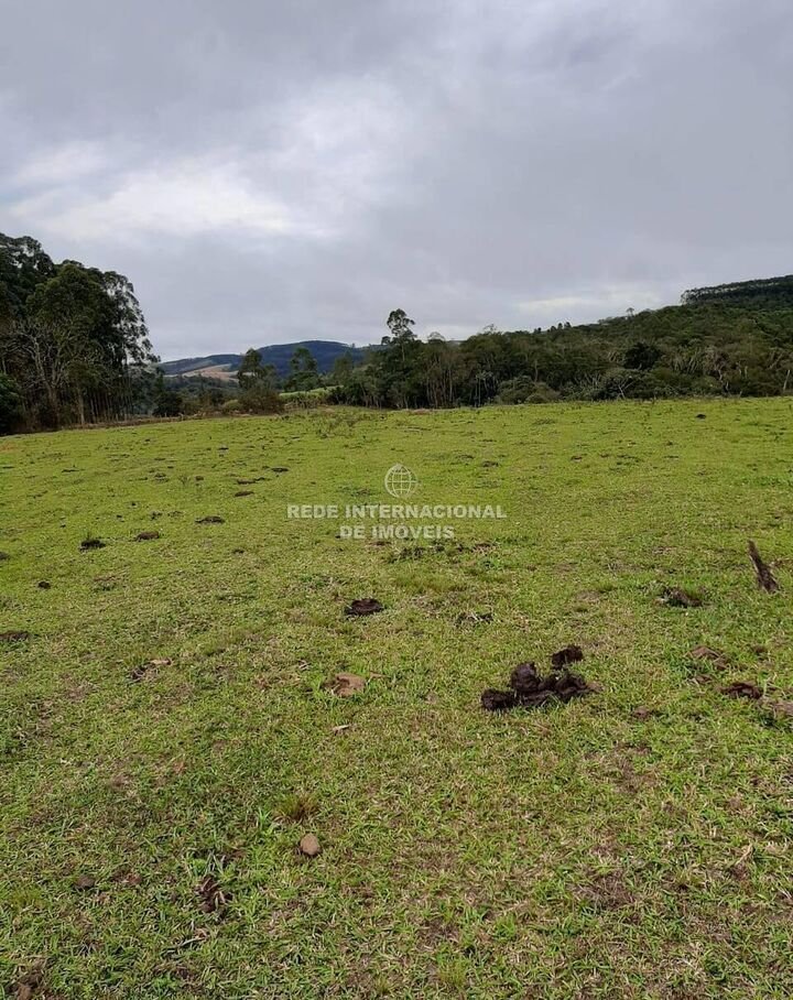 Farm Ranch in Rio de Janeiro, State of Rio de Janeiro, Brazil 4 - 16178265