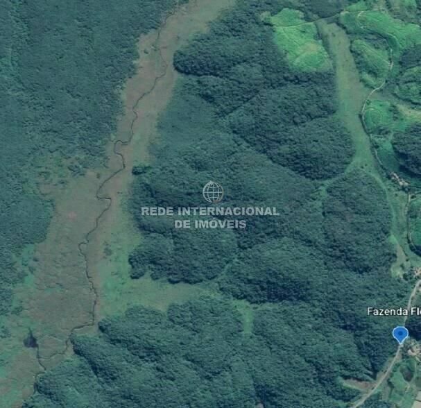 Farm Ranch in Rio de Janeiro, State of Rio de Janeiro, Brazil 5 - 16177719