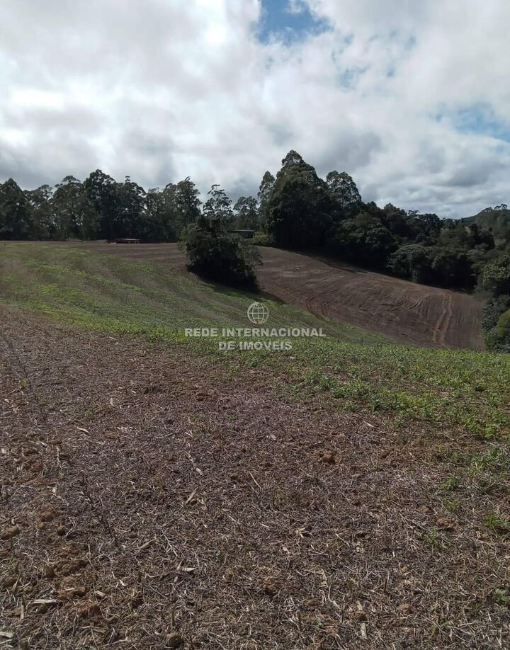 Farm Ranch in Rio de Janeiro, State of Rio de Janeiro, Brazil 4 - 16177797
