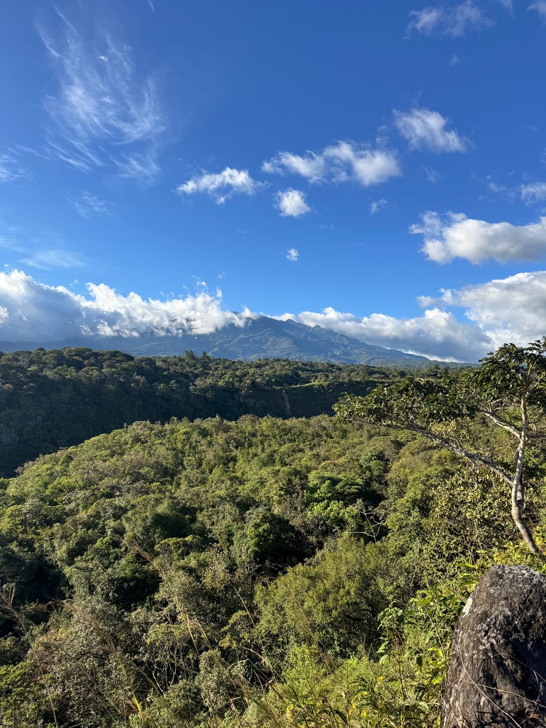 Land in Los Naranjos, Chiriquí Province, Panama 3 - 16934180