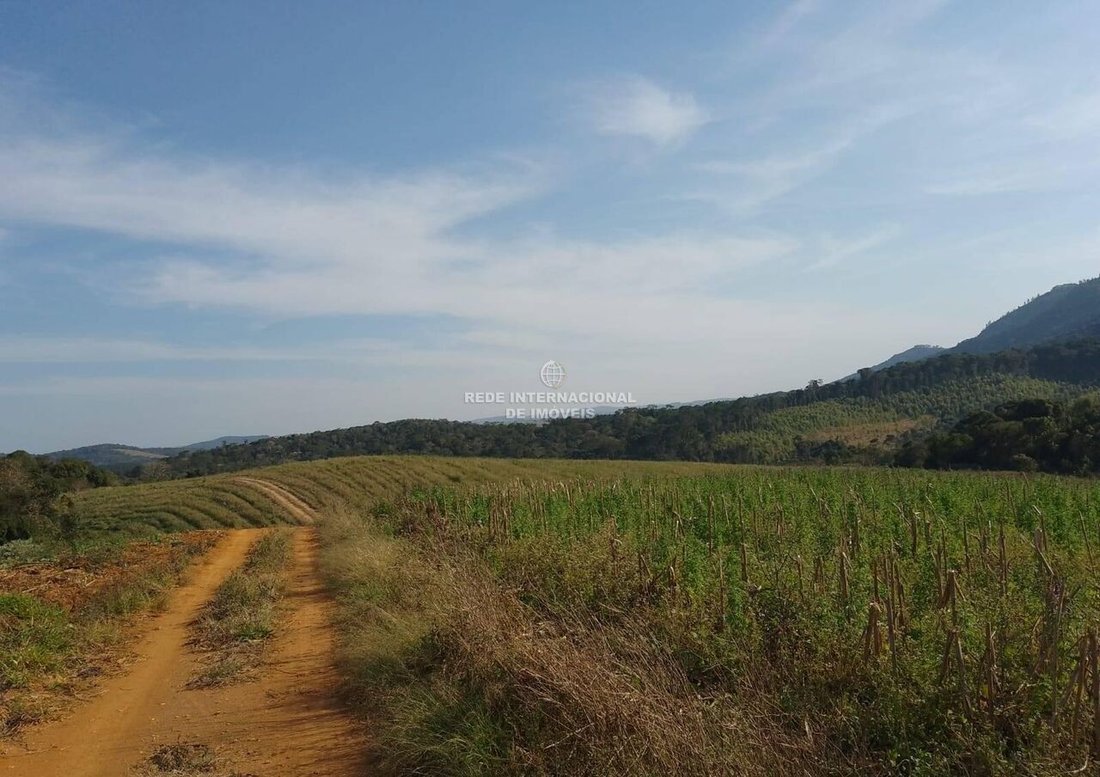 Farm Ranch in Rio de Janeiro, State of Rio de Janeiro, Brazil 4 - 16178322
