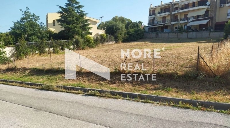 Land in Pefka, Macedonia and Thrace, Greece 5 - 16933456