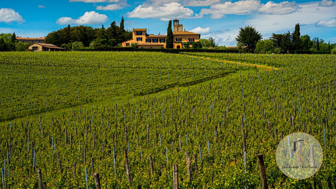 Casa de Campo en Castelnuovo Berardenga, Toscana, Italia 3 - 16708115