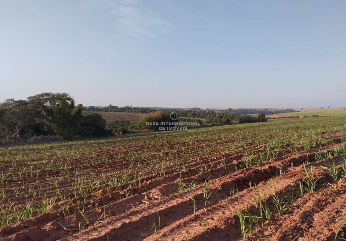 Farm Ranch in Lins, State of São Paulo, Brazil 2 - 16930676