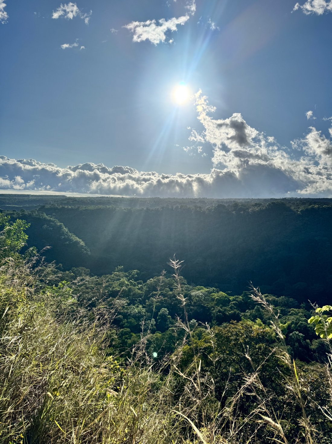 Land in Los Naranjos, Chiriquí Province, Panama 4 - 16934180