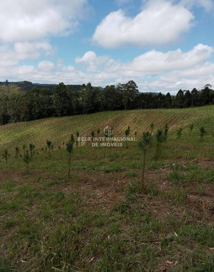 Farm Ranch in Rio de Janeiro, State of Rio de Janeiro, Brazil 3 - 16177797