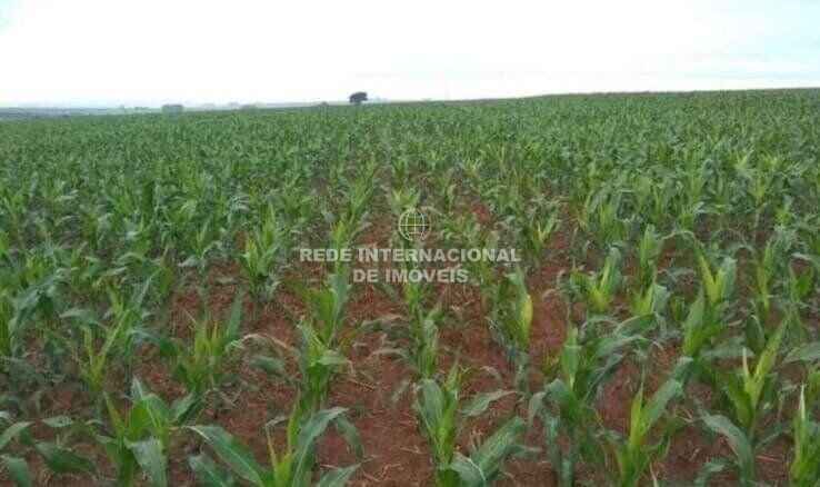 Farm Ranch in Rio de Janeiro, State of Rio de Janeiro, Brazil 2 - 16178345
