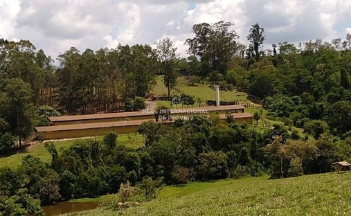 Farm Ranch in General Maynard, State of Sergipe, Brazil 1