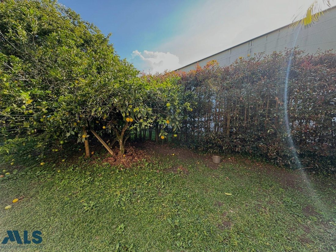 House in Rionegro, Rionegro, Colombia 5 - 16929290
