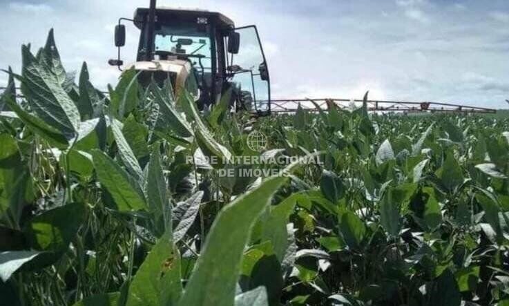 Farm Ranch in Rio de Janeiro, State of Rio de Janeiro, Brazil 5 - 16178345