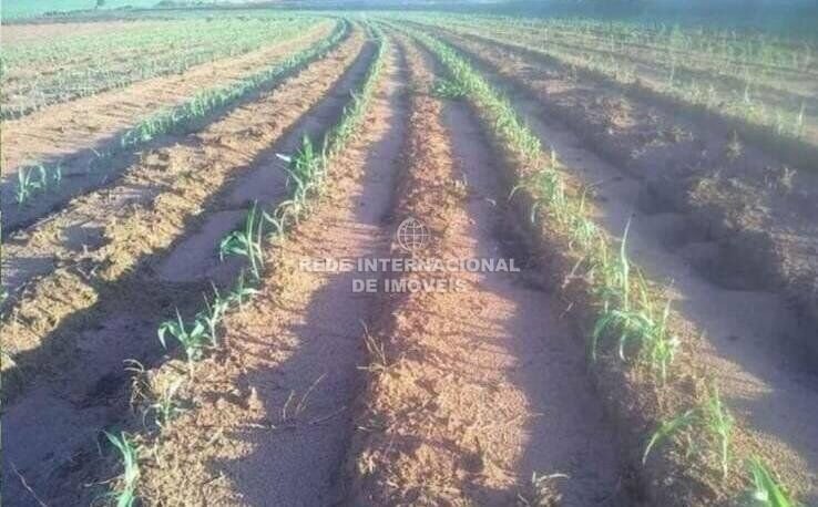 Farm Ranch in Rio de Janeiro, State of Rio de Janeiro, Brazil 3 - 16178345