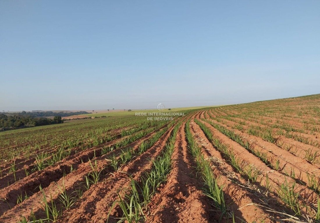 Farm Ranch in Lins, State of São Paulo, Brazil 5 - 16930676
