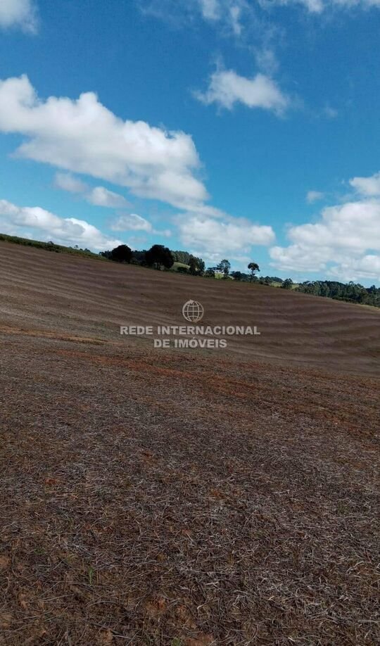 Farm Ranch in Rio de Janeiro, State of Rio de Janeiro, Brazil 5 - 16177797