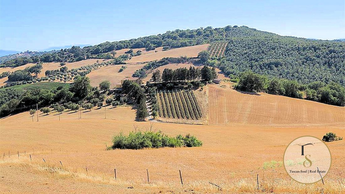 Country House in Italy 3 - 16740816