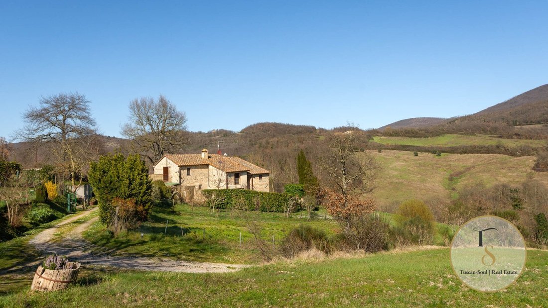 Landhaus in Radicofani, Toskana, Italien 2 - 16740796