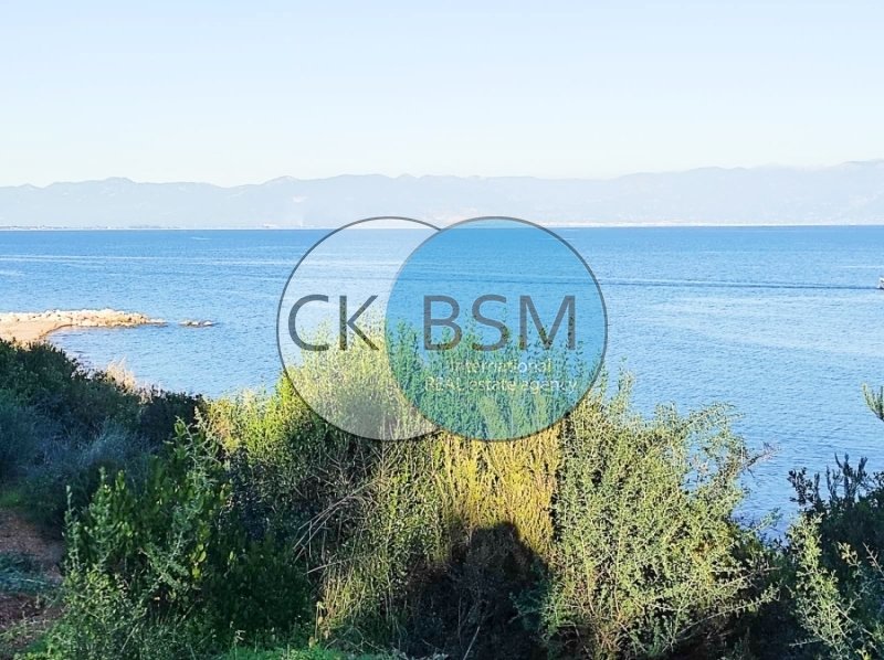 Land in Messenia, Peloponnese, Western Greece and the Ionian, Greece 1 - 16928820