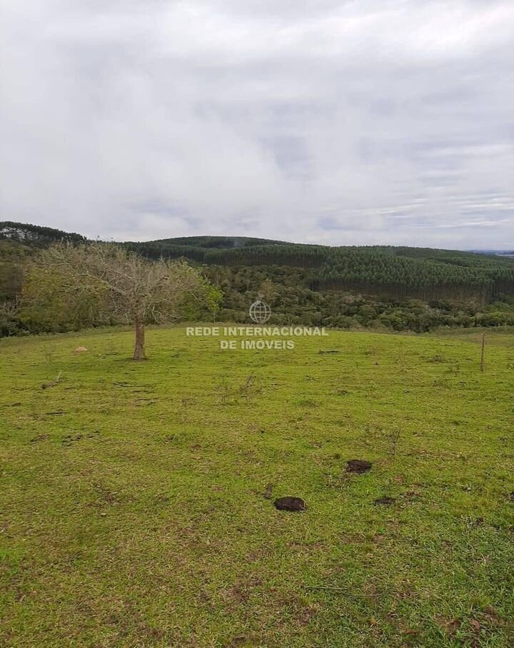 Farm Ranch in Rio de Janeiro, State of Rio de Janeiro, Brazil 1 - 16178265