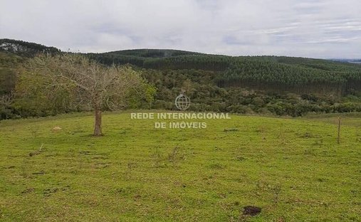 Rancho en Río de Janeiro, Estado de Río de Janeiro, Brasil 1