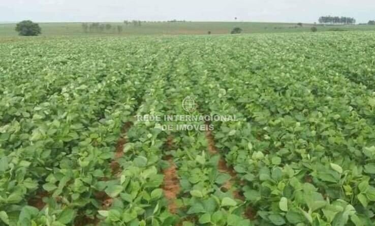 Farm Ranch in Rio de Janeiro, State of Rio de Janeiro, Brazil 4 - 16178345