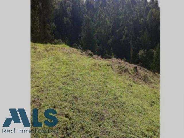 Land in Rionegro, Antioquia, Colombia 5 - 16929330