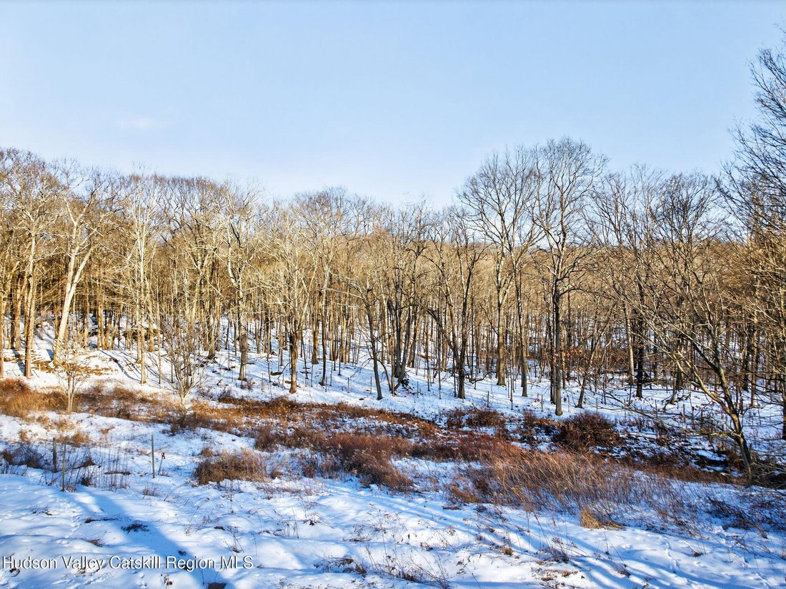 Land in Stanfordville, New York, United States 5 - 16931421