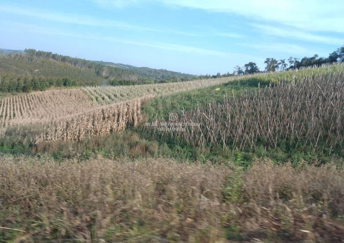 Farm Ranch in Rio de Janeiro, State of Rio de Janeiro, Brazil 1 - 16178322
