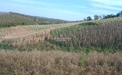 Farm Ranch in Rio de Janeiro, State of Rio de Janeiro, Brazil 1