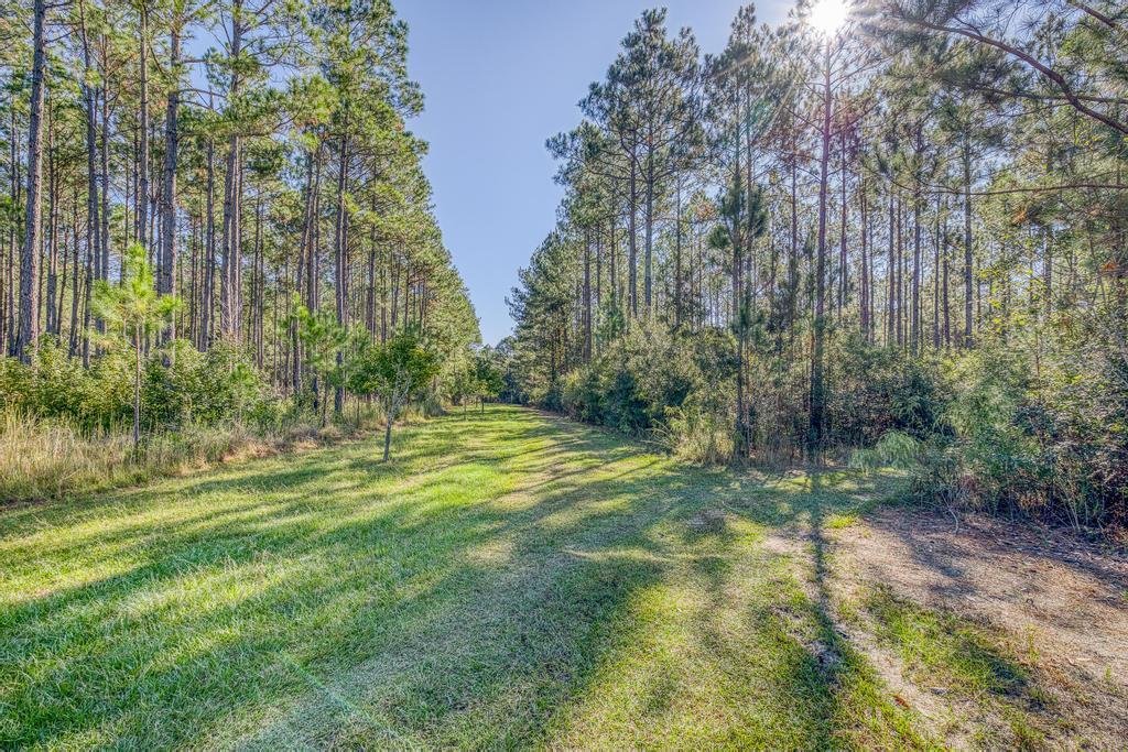 Maison à Laurel Hill, Floride, États-Unis 2 - 16932739