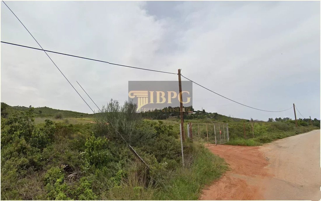 Land in Oropos, Attica, Greece 3 - 16931240