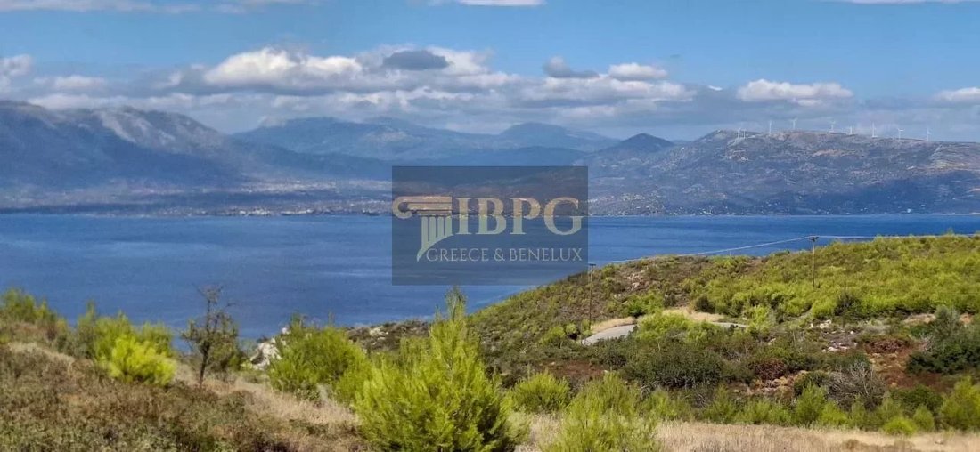 Land in Oropos, Attica, Greece 1 - 16931240