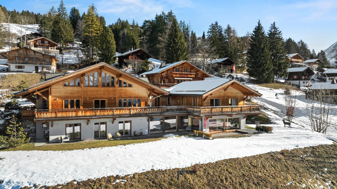 Ski In/Ski Out Chalet With Panoramic View
